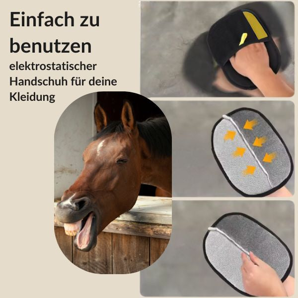 🐴 FellFreiBuddy - In Sekunden wieder haarfrei